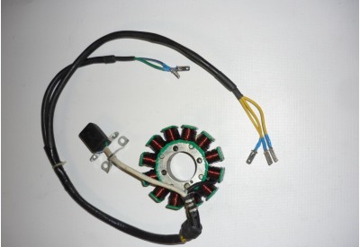 stator paljenja Shineray XY250ST-9